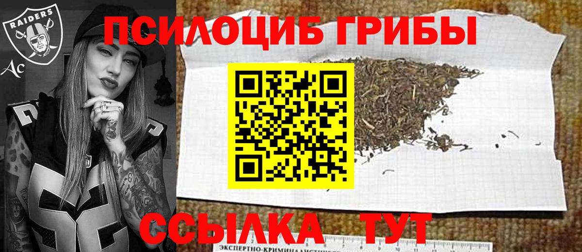 Псилоцибиновые грибы Magic Shrooms  Псилоцибиновые грибы ЛСД  Вход с VPN  Гурьевск 